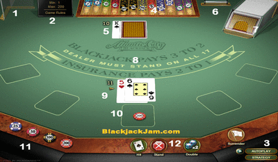 Blackjack Tablke Layout